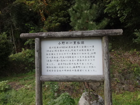 DSC00531
