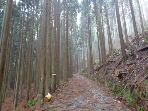 DSC04738