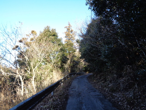 DSC02374