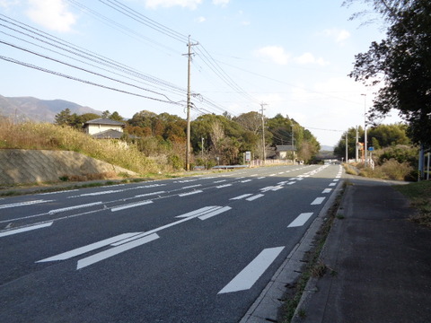 DSC03964