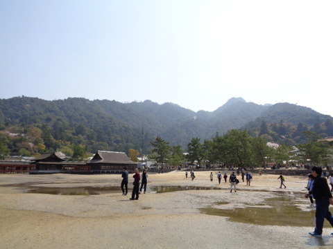 DSC08916
