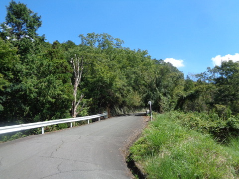 DSC01958