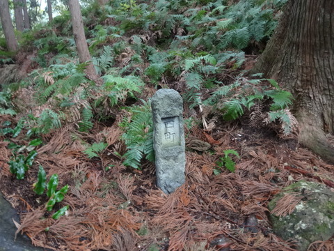 DSC03054