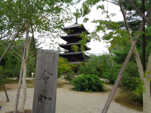 DSC00293
