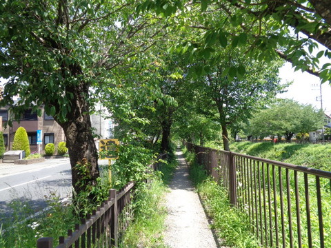 DSC00267