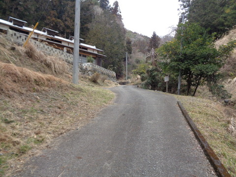 DSC09011
