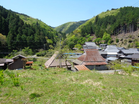 DSC03386