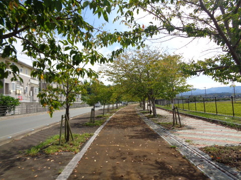 DSC02594