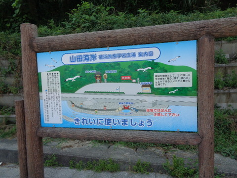 DSC08558