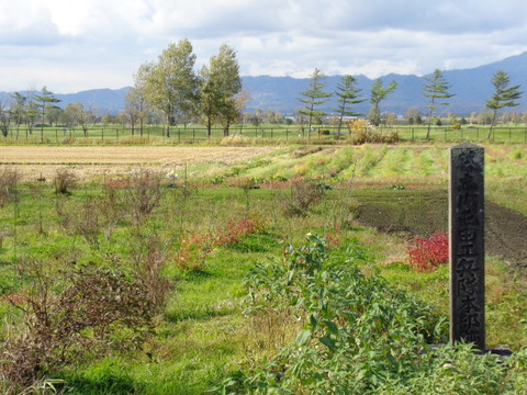 DSC03687