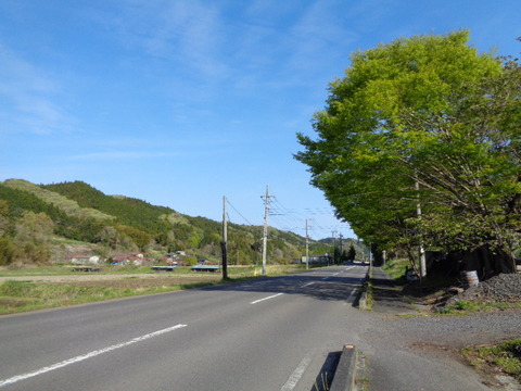 DSC09792