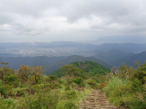 DSC05417