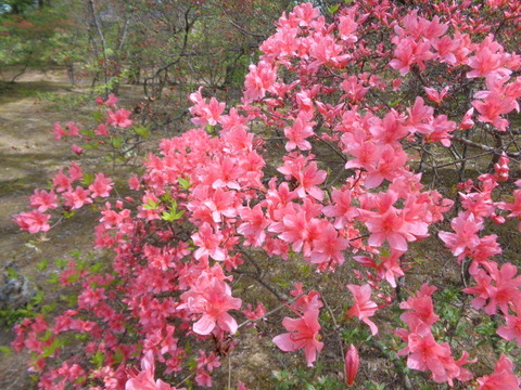 DSC01575