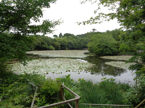 DSC00170