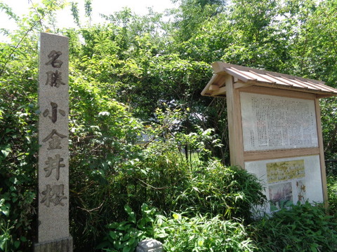 DSC00262