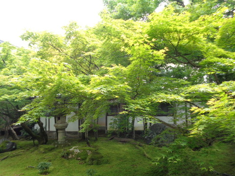 DSC00335