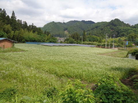 DSC02977