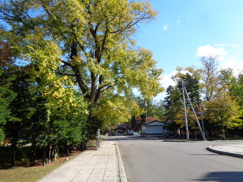 DSC03244