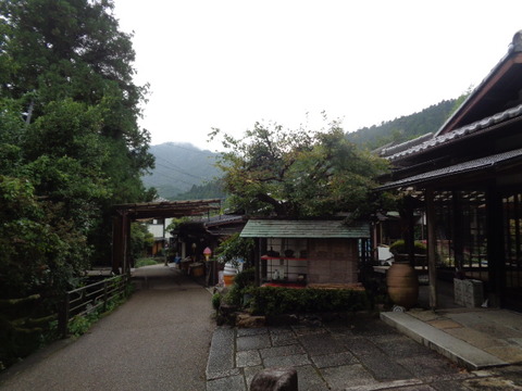 DSC01499