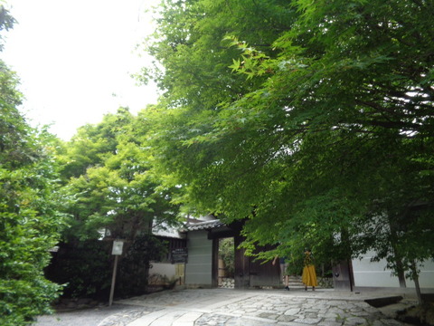 DSC00166
