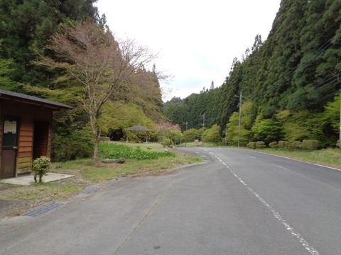 DSC00177