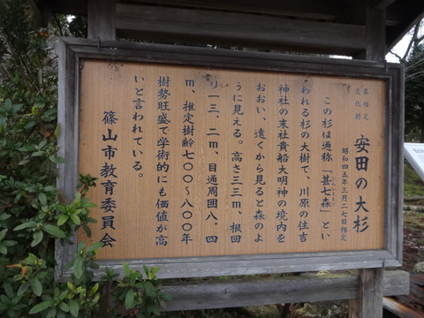DSC04342