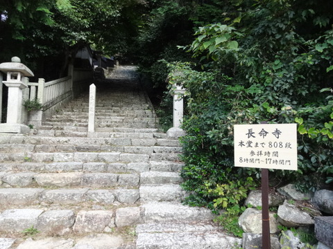 DSC09801