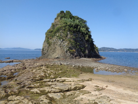 DSC09271