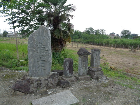 DSC03821