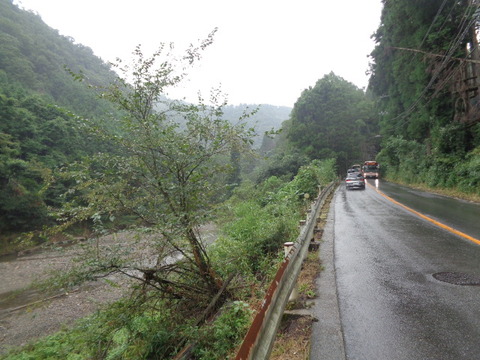 DSC01347