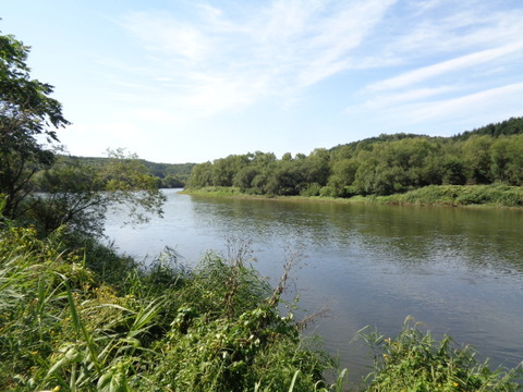 DSC04379