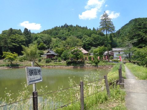 DSC02711