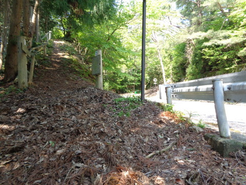 DSC03008