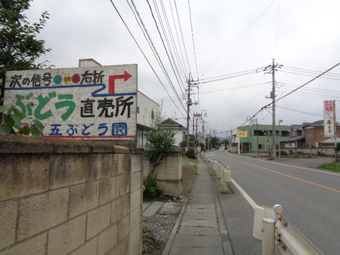 DSC04052