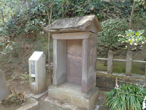 DSC07915