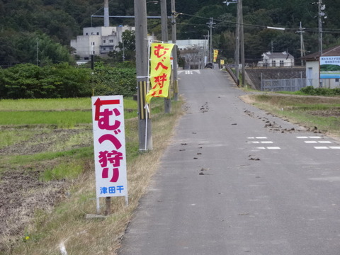DSC09779