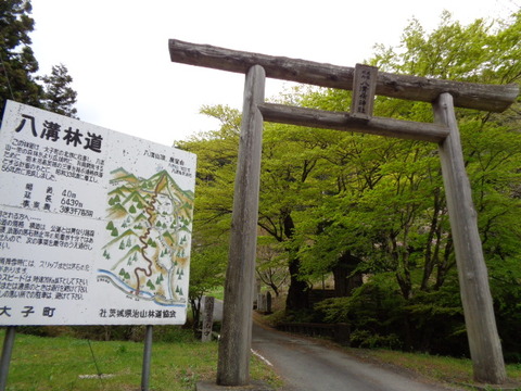 DSC00174