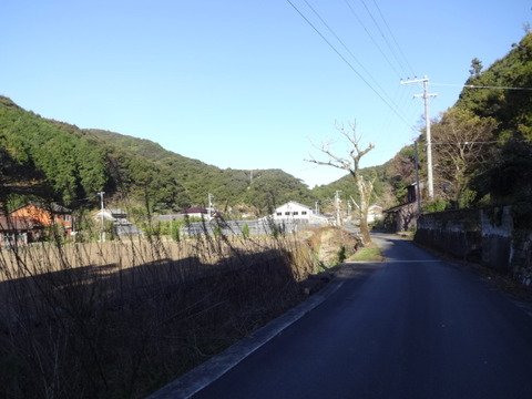 DSC02746