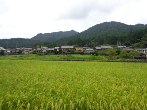 DSC01581