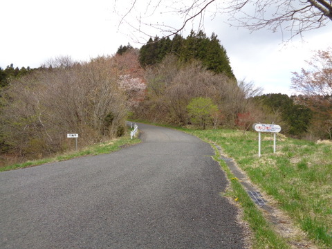 DSC00053