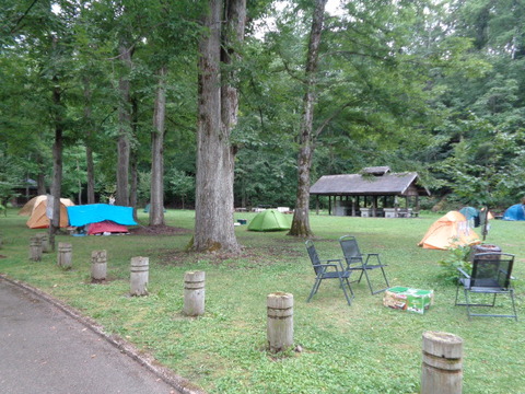 DSC03768
