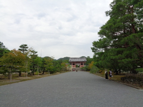 DSC00290