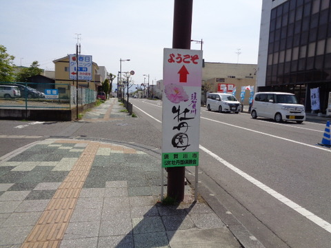 DSC01479