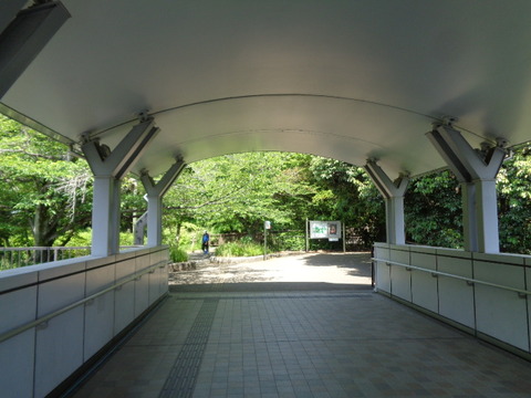DSC09558