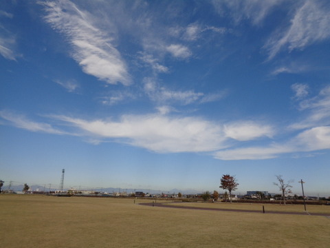 DSC04769
