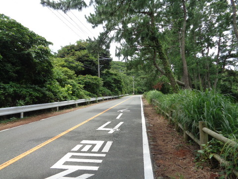 DSC00728
