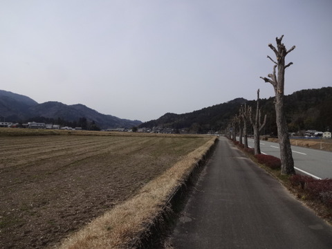 DSC04314