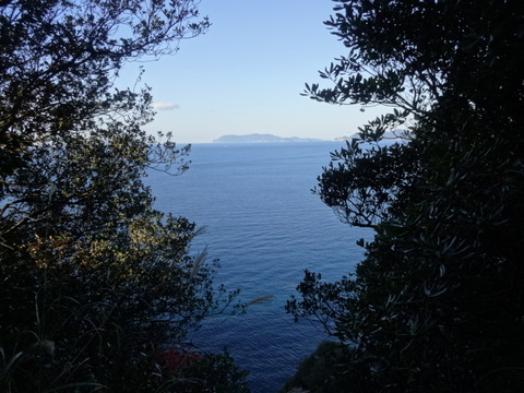 DSC02719