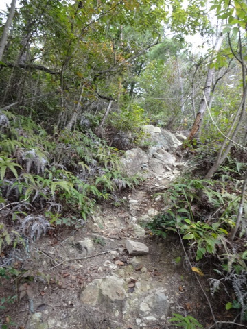 DSC09755