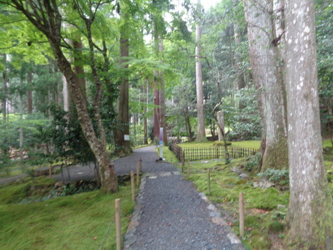 DSC01540